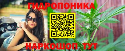 прущие крисы Краснознаменск