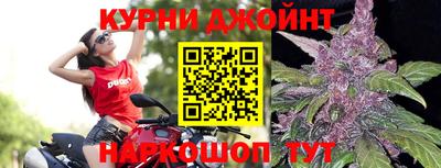 прущие крисы Краснознаменск