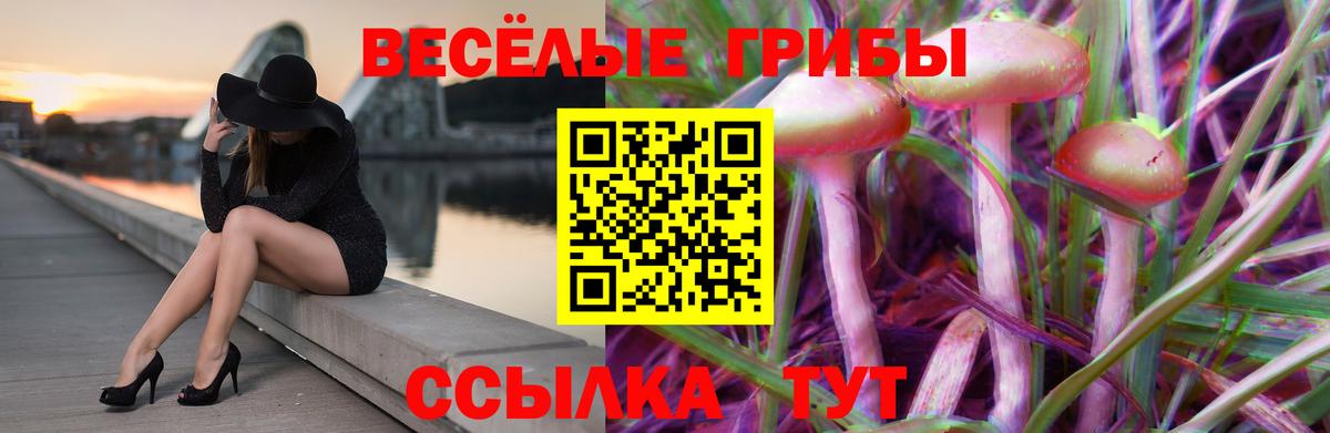 Кирово-Чепецк  Галлюциногенные грибы ЛСД  Вход с VPN  Псилоцибиновые грибы мицелий 